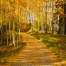 Autumn Bliss aspen trees country road Telluride Colorado