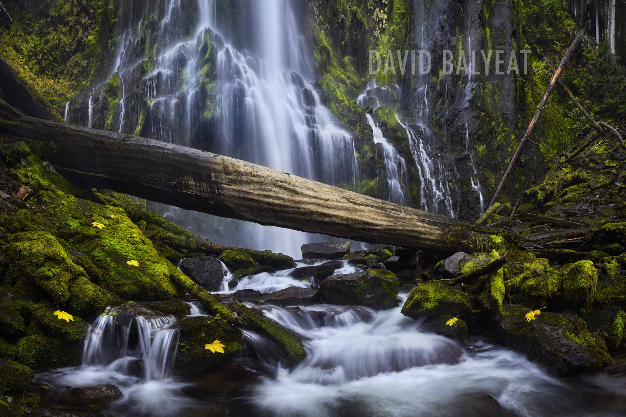 Proxy Falls Oregon Waterfall