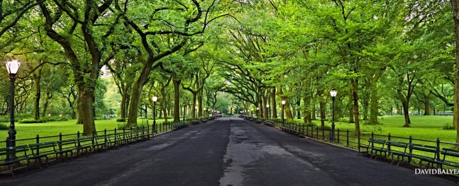 Central Park Literary Walk New York City high definition HD professional landscape photography