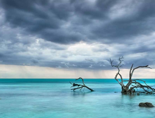 Cerulean Silence – Florida Keys