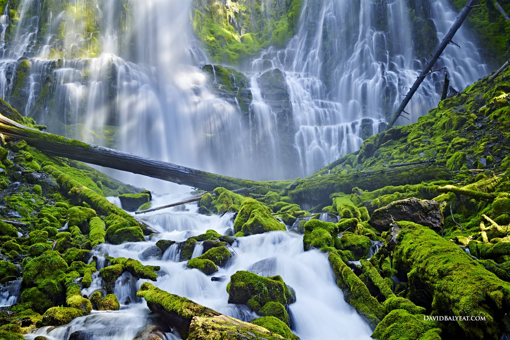 Proxy Falls Oregon Waterfall Moss Emerald Cascade Hd Photography David Balyeat Photography