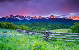 San Juan mountain range Colorado alpine paradise wildflowers high-definition HD professional landscape photography