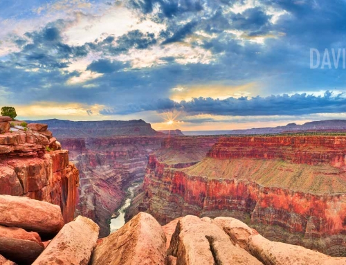 Toroweap Grand Canyon Sunrise – New Beginnings